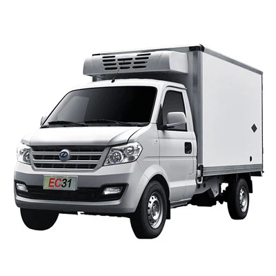 DFSK EC31 Lori Pembeku Kecil